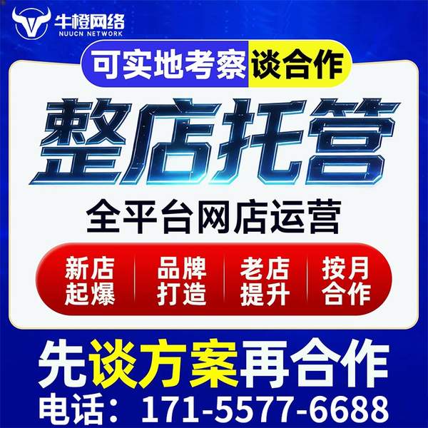 毕节电商代运营