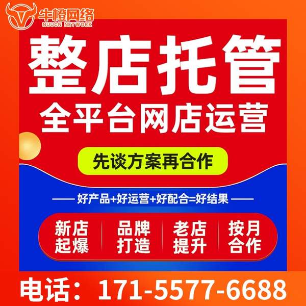 毕节电商代运营
