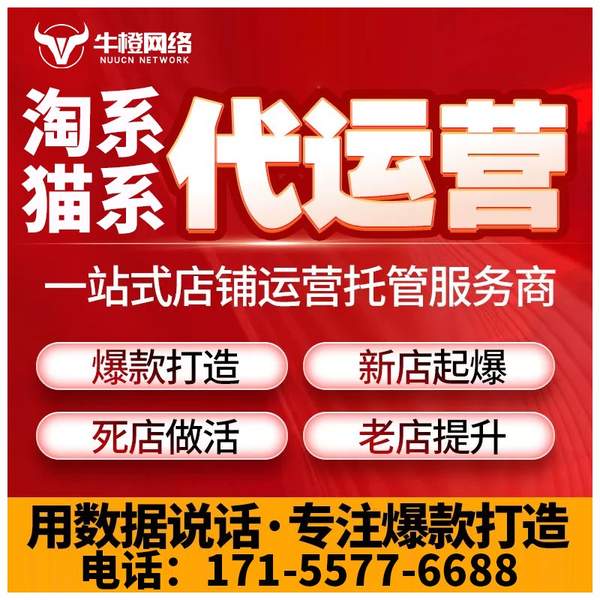 毕节电商代运营